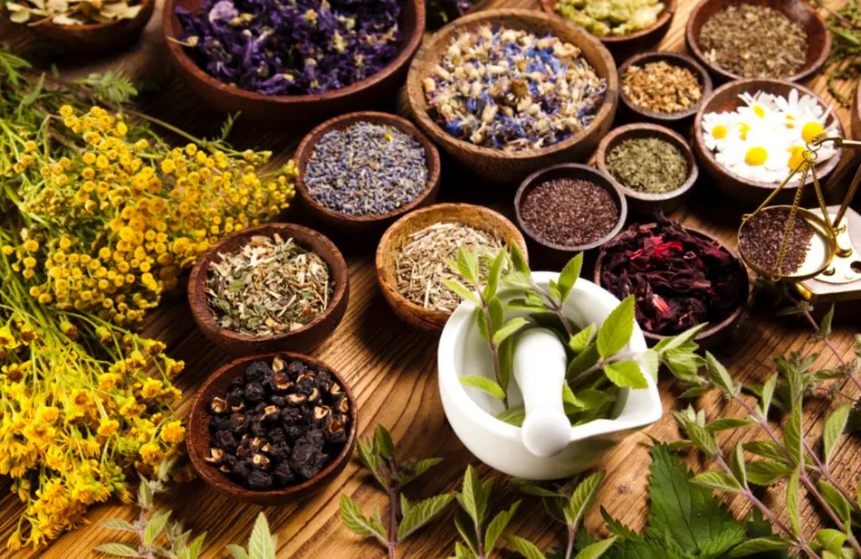 A wooden table topped with bowls of herbs and spices.